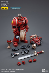 Blood Angels Veteran Salus 6