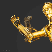 1/12 C-3PO & R2-D2 9
