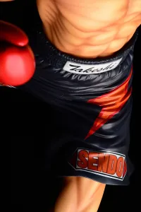 ORANGE CAT INDUSTRY Takeshi Sendou－finish blow－ - Hajime no Ippo - photo 28