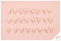 KOTOBUKIYA Seira Ichijo【CHEERLEADING COSTUME】 DREAMING STYLE VITAMIN YELL - SOUSAISHOJOTEIEN - photo 10