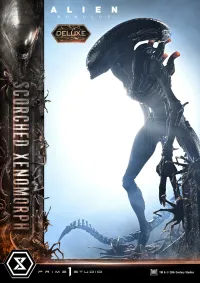 Prime 1 Studio Museum Masterline XL Alien: Romulus Scorched Xenomorph Deluxe Bonus Version - Alien (Movie Franchise) - photo 79
