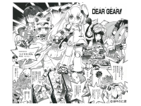 DG-001 LN USA-GEAR 11
