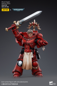 Blood Angels Veteran Salus 5