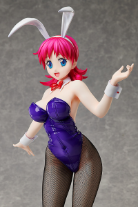 Shizuka Misaki: Bunny Ver. 10