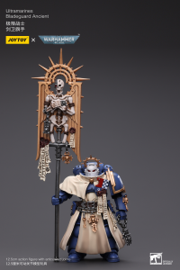 Ultramarines Bladeguard Ancient 4