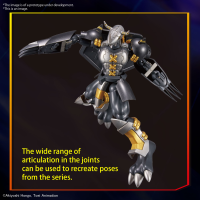 Figure-rise Standard BLACKWARGREYMON 6