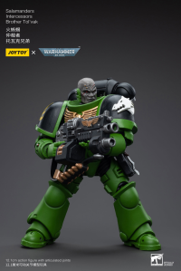 Salamanders Intercessors Brother Tol'vak 4