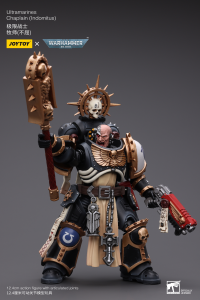 Ultramarines Chaplain(Indomitus) 6