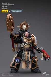 JOYTOY Ultramarines Chaplain(Indomitus) - Warhammer 40K - photo 6
