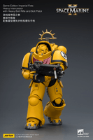 Game Edition Imperial Fists Heavy Intercessor with Heavy Bolt Rifle and Bolt Pistol 16