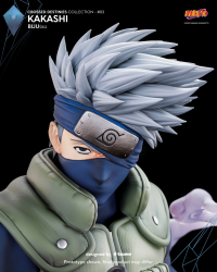 Kakashi - BIJUtsu 17