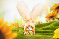 Cup Rabbit - Dreamland Journey 5