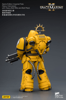 Game Edition Imperial Fists Heavy Intercessor with Heavy Bolt Rifle and Bolt Pistol 15
