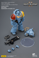 Game Edition Space Wolves Heavy Intercessor with Heavy Bolt Rifle and Bolt Pistol 21