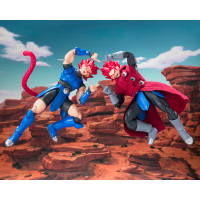 S.H.Figuarts GIBLET (P-Bandai Exclusive) 6