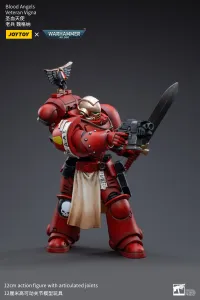 JOYTOY Blood Angels Veteran Vigna - Warhammer 40K - photo 3