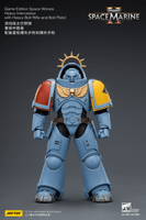 Game Edition Space Wolves Heavy Intercessor with Heavy Bolt Rifle and Bolt Pistol 12