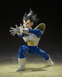 VEGETA -24000 POWER LEVEL- "Dragon Ball Z", TAMASHII NATIONS S.H.Figuarts (P-Bandai Exclusive) 6