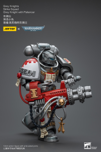 Grey Knights Strike Squad Grey Knight with Psilencer 5