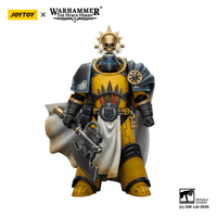 Imperial Fists Librarian Consul with Force Axe and Bolt Pistol 21