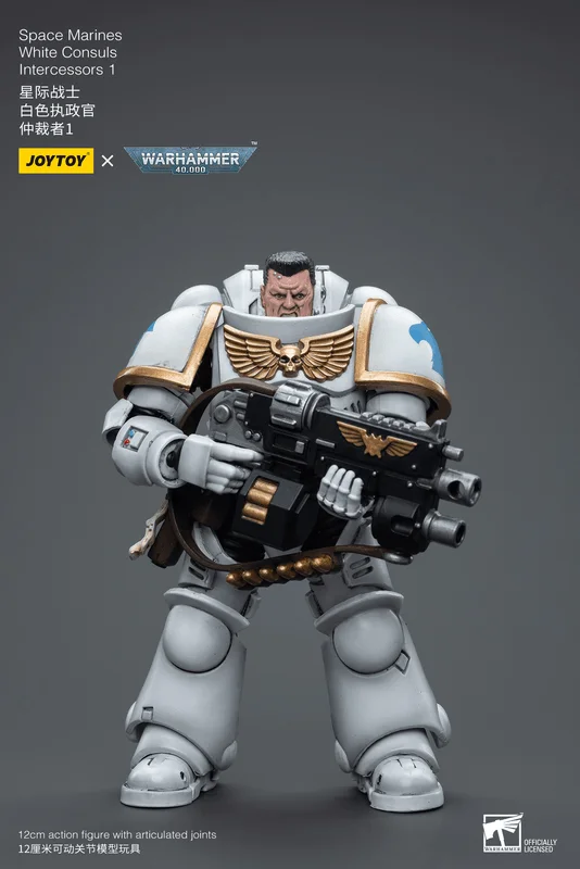 JOYTOY Space Marines White Consuls Intercessors 1 - Warhammer 40K