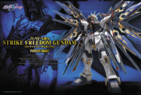 PG Strike Freedom Gundam 5