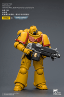 Imperial Fists Intercessor with Bolt Rifle, Bolt Pistol and Chainsword 18