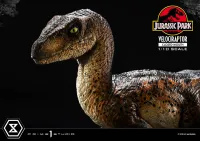 Prime 1 Studio Prime Collectible Figures  Jurassic Park (Film)  Velociraptor  Closed Mouth - Jurassic Park - photo 26