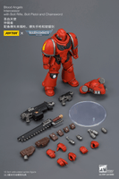 Blood Angels Intercessor with Bolt Rifle, Bolt Pistol and Chainsword 15