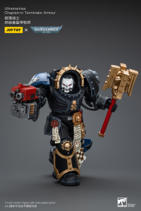 Ultramarines Chaplain in Terminator Armour 3