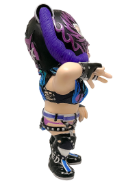 16d Collection 031: (STARDOM) Starlight Kid 6