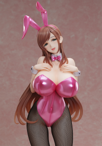 Minako Sanada Bunny Ver. 9
