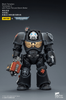 BlackTemplars Terminator 2 with Power Fist and Storm Bolter 13