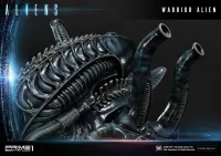 Prime 1 Studio Premium Masterline Aliens (Comics) Warrior Alien DX Bonus Version - Alien (Movie Franchise) - photo 28
