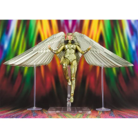 Wonder Woman Golden Armor (WW84) Wonder Woman 1984, Bandai Spirits S.H.Figuarts 3