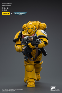 Imperial Fists Intercessors 5