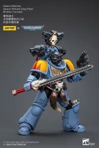 JOYTOY Space Marines Space Wolves Claw Pack Brother Torrvald - Warhammer 40K - photo 2