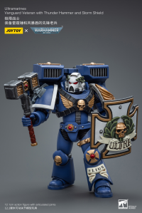 Ultramarines Vanguard Veteran with Thunder Hammer and Storm Shield 7