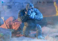 HIYA TOYS Exquisite Basic Series GODXILLA x KONG THE NEW EMPIRE Kong - Godzilla - photo 20