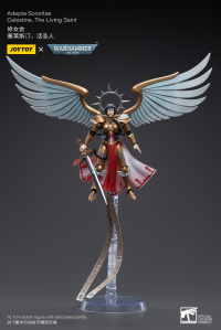 Adepta Sororitas Celestine, The Living Saint 3