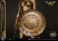 Prime 1 Studio Museum Masterline Wonder Woman (Film) Wonder Woman Training Costume Gold Version - DC Comics - photo 25