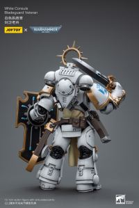 White Consuls Bladeguard Veteran 6
