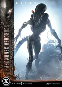 Prime 1 Studio Museum Masterline XL Alien: Romulus Scorched Xenomorph Deluxe Bonus Version - Alien (Movie Franchise) - photo 86