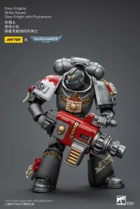 JOYTOY Grey Knights Strike Squad Grey Knight with Psycannon - Warhammer 40K - photo 6