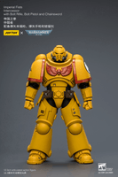 Imperial Fists Intercessor with Bolt Rifle, Bolt Pistol and Chainsword 14