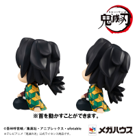 Lookup Demon Slayer：Kimetsu no Yaiba Giyu Tomioka Stupefied face ver. & Muichiro Tokito Smile face ver. set【with gift】 8