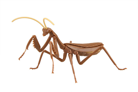 [FI No.23 EX-1]  Biology Edition Big Mantis (Brown)