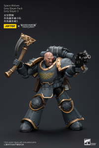 Space Wolves Grey Slayer Pack Grey Slayer3 7