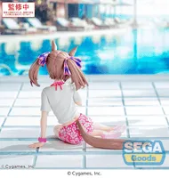 SEGA Yumemirize Umamusume: Pretty Derby Smart Falcon -Gaze on Me!- - Umamusume: Pretty Derby - photo 3