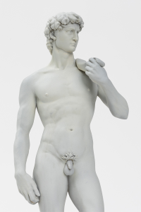 David 7